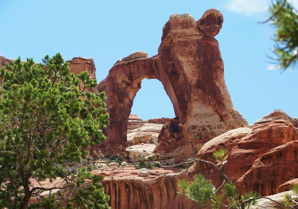 Angel Arch, Moab Utah. We took a rather grand adventure and rode endurance horses in Canyonlands backcountry. Read about it at The Tenacious Crasis