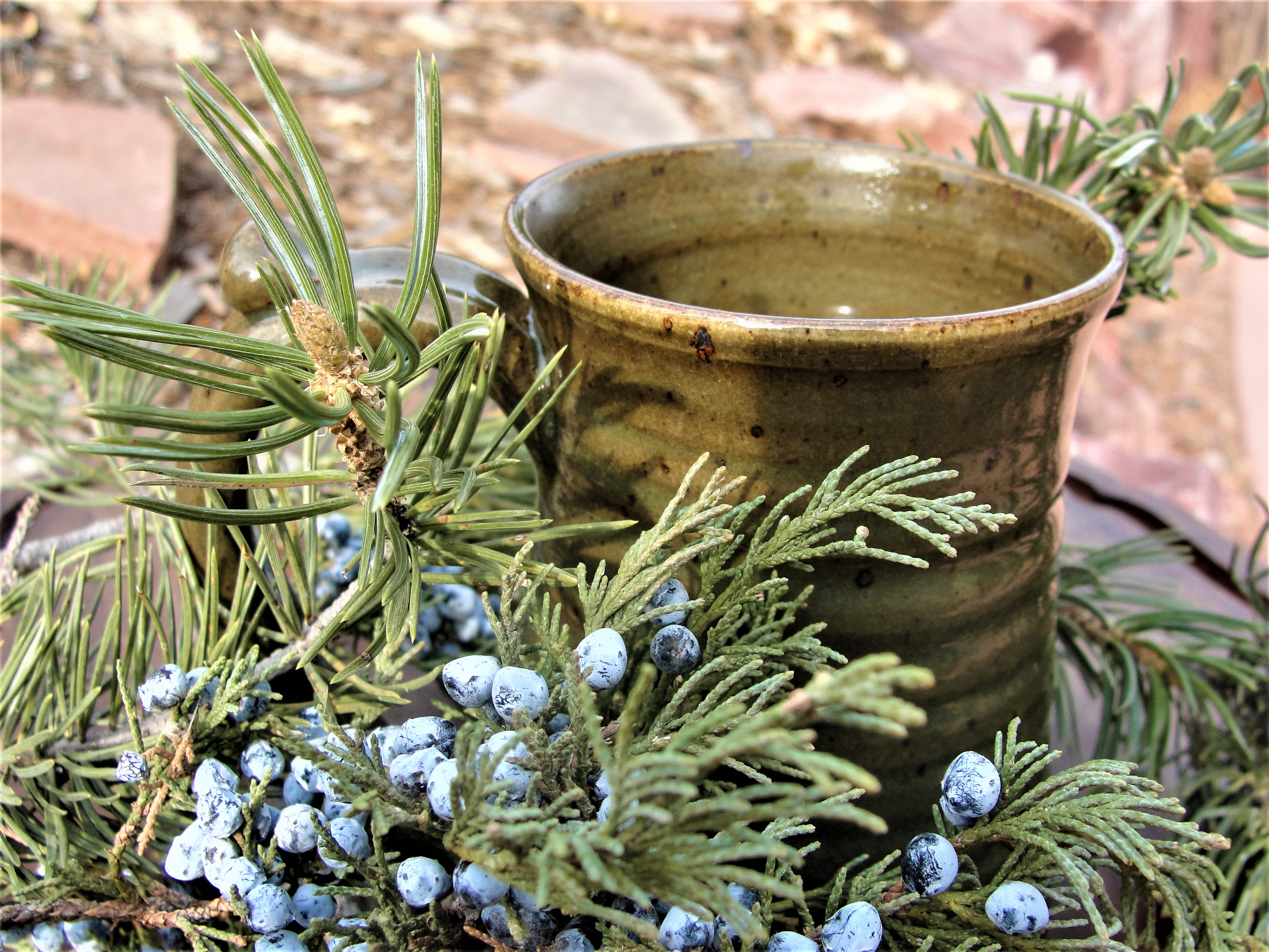 Celebrate the Winter Solstice with this immune boosting, and deliciously earthy yule herbal tea recipe